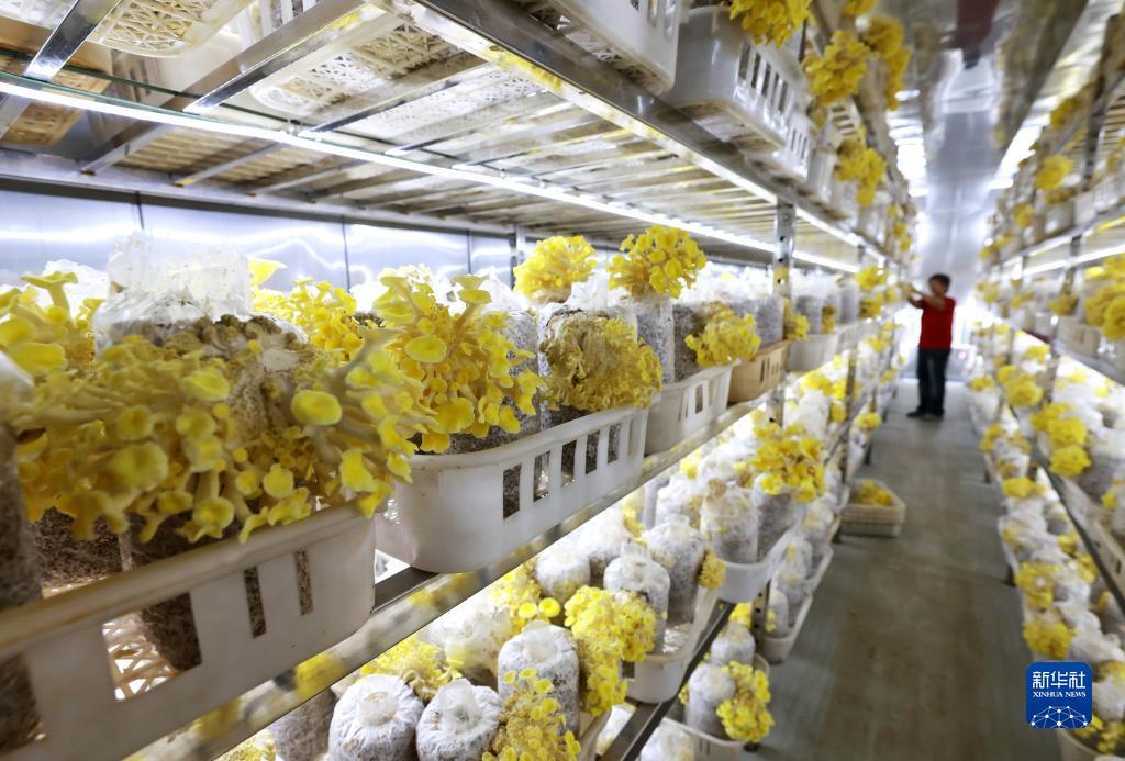 奔驰宝马在线游戏网址